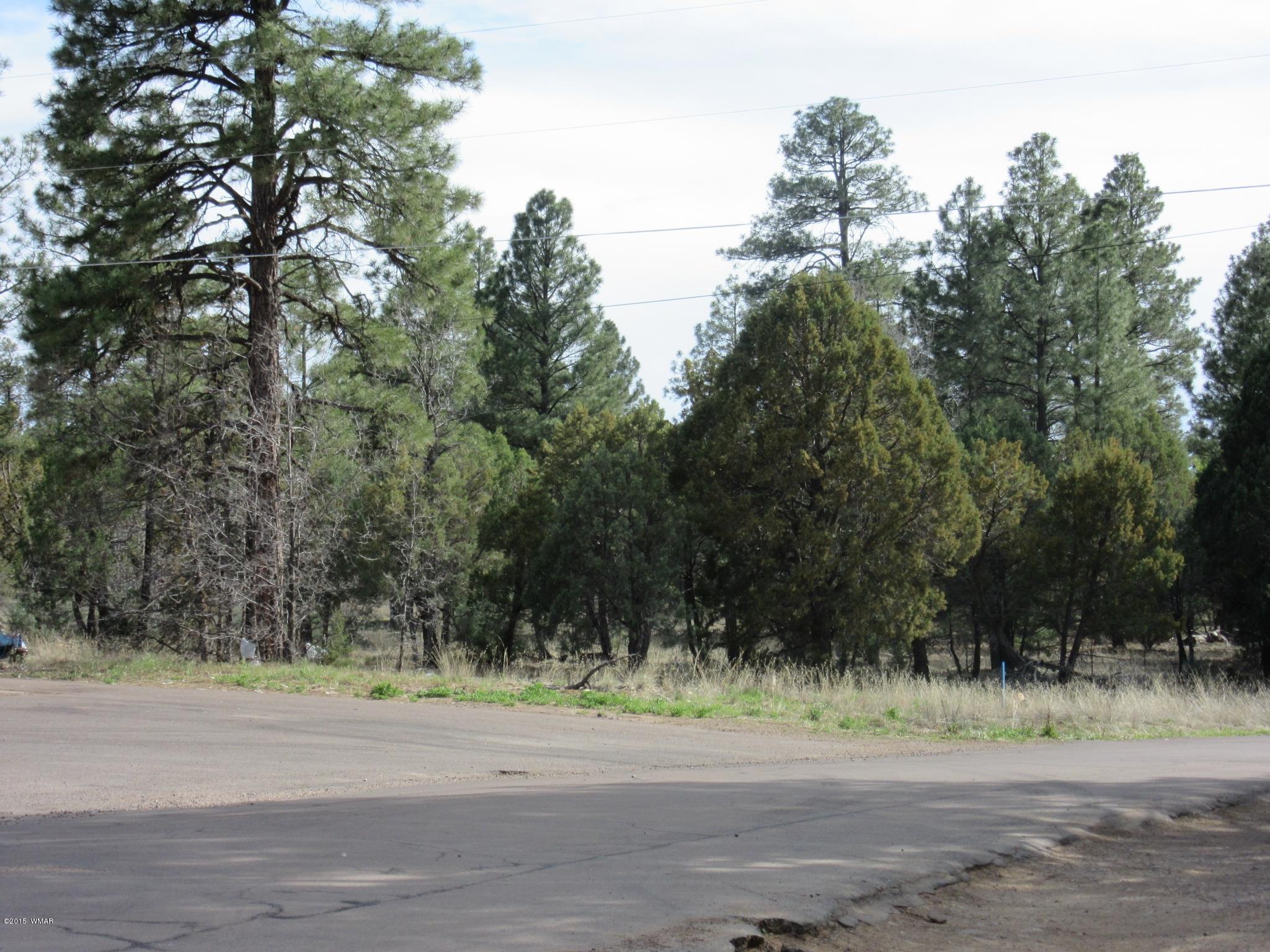Parcel # North Clark Road Show Low, AZ 85901 - Photo 5 of 13