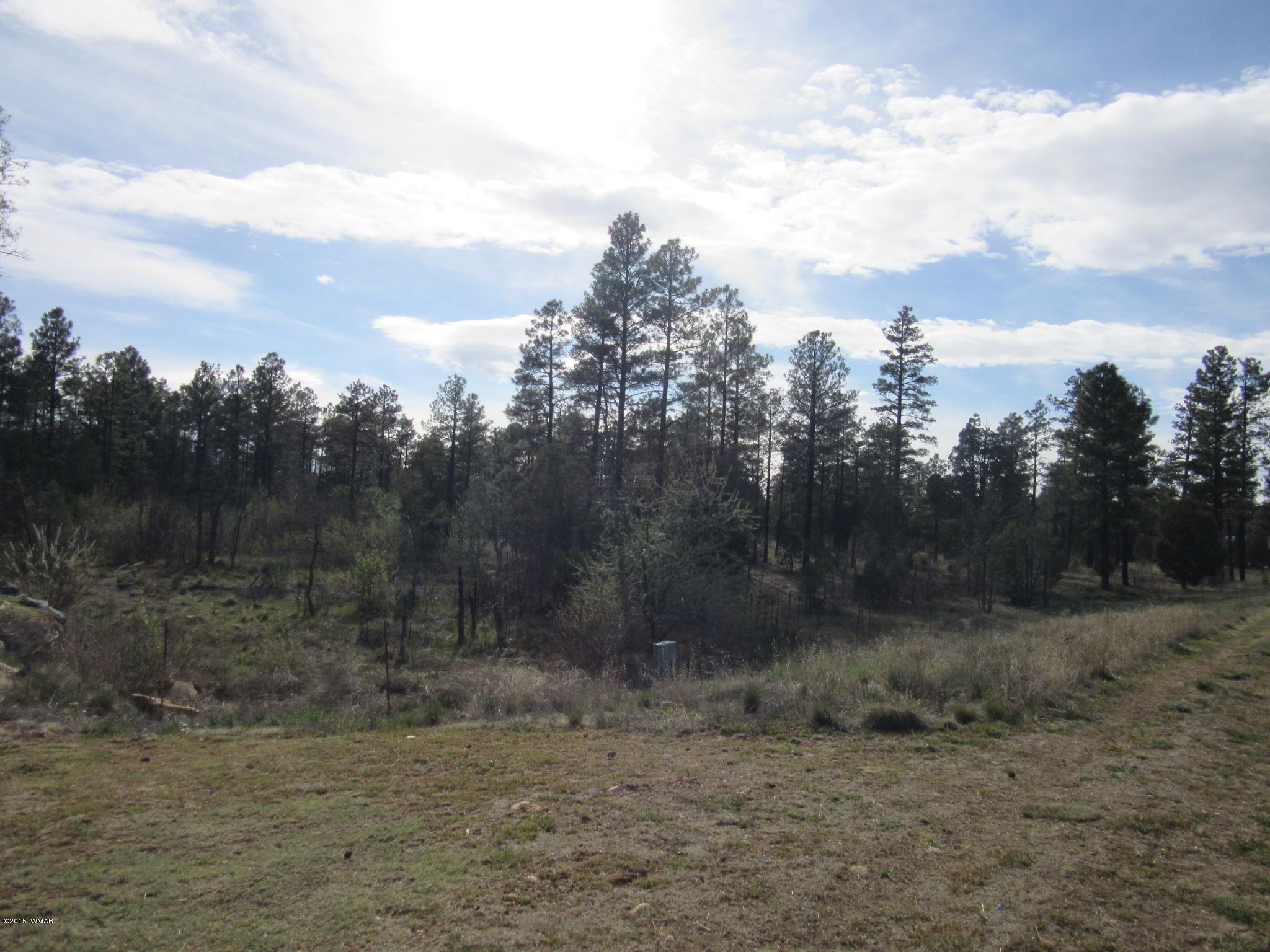 Parcel # North Clark Road Show Low, AZ 85901 - Photo 6 of 13