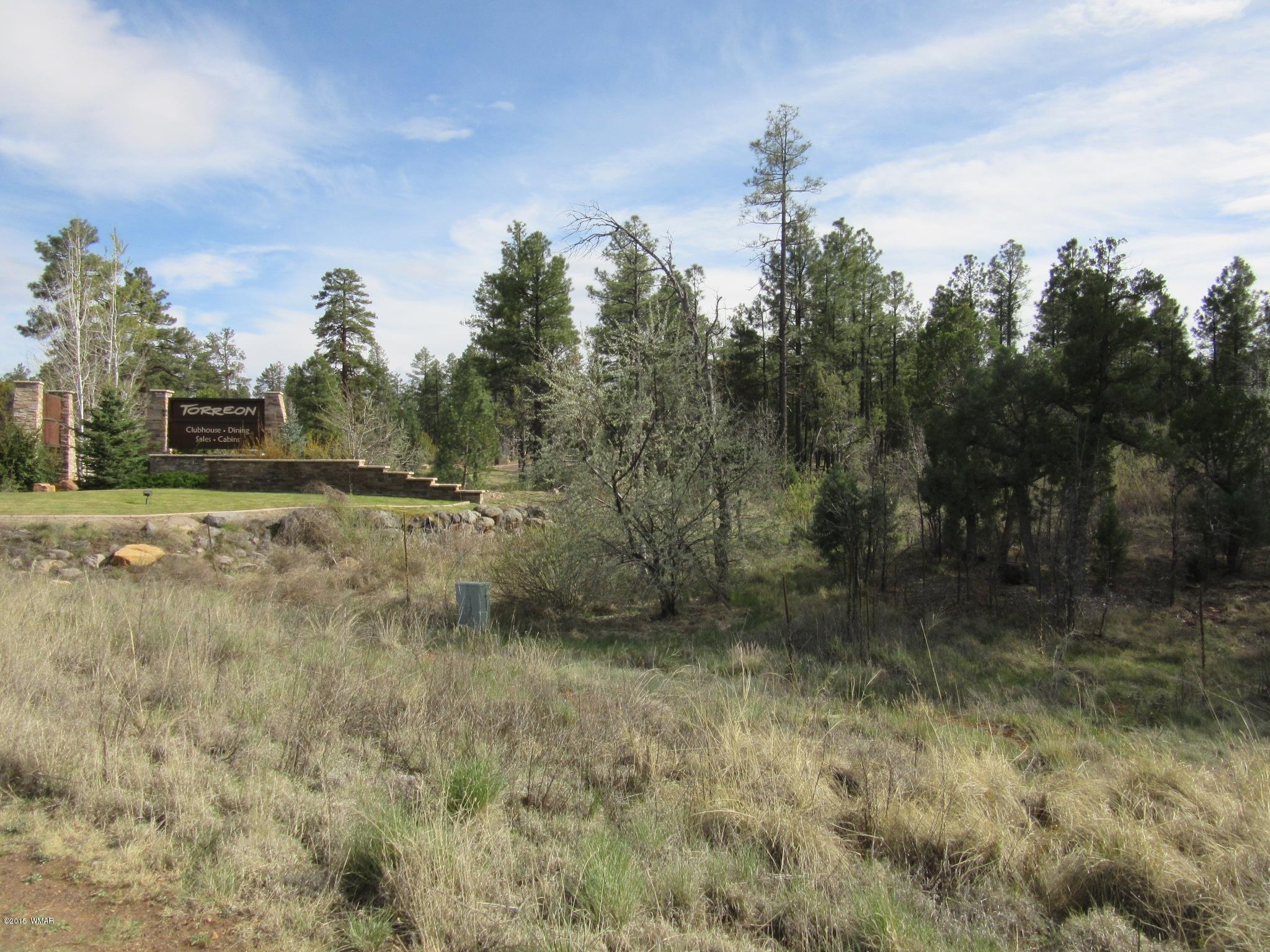 Parcel # North Clark Road Show Low, AZ 85901 - Photo 7 of 13