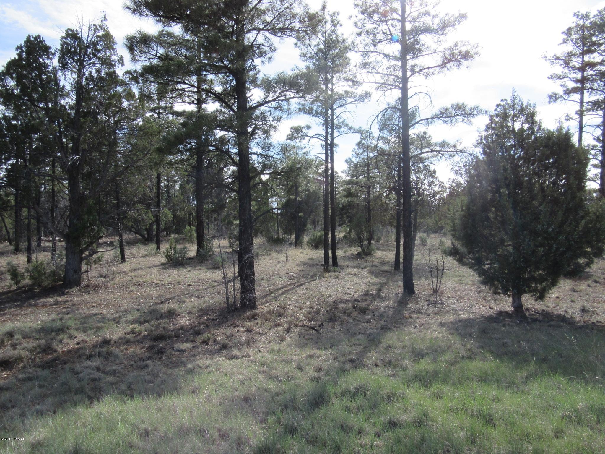 Parcel # North Clark Road Show Low, AZ 85901 - Photo 9 of 13