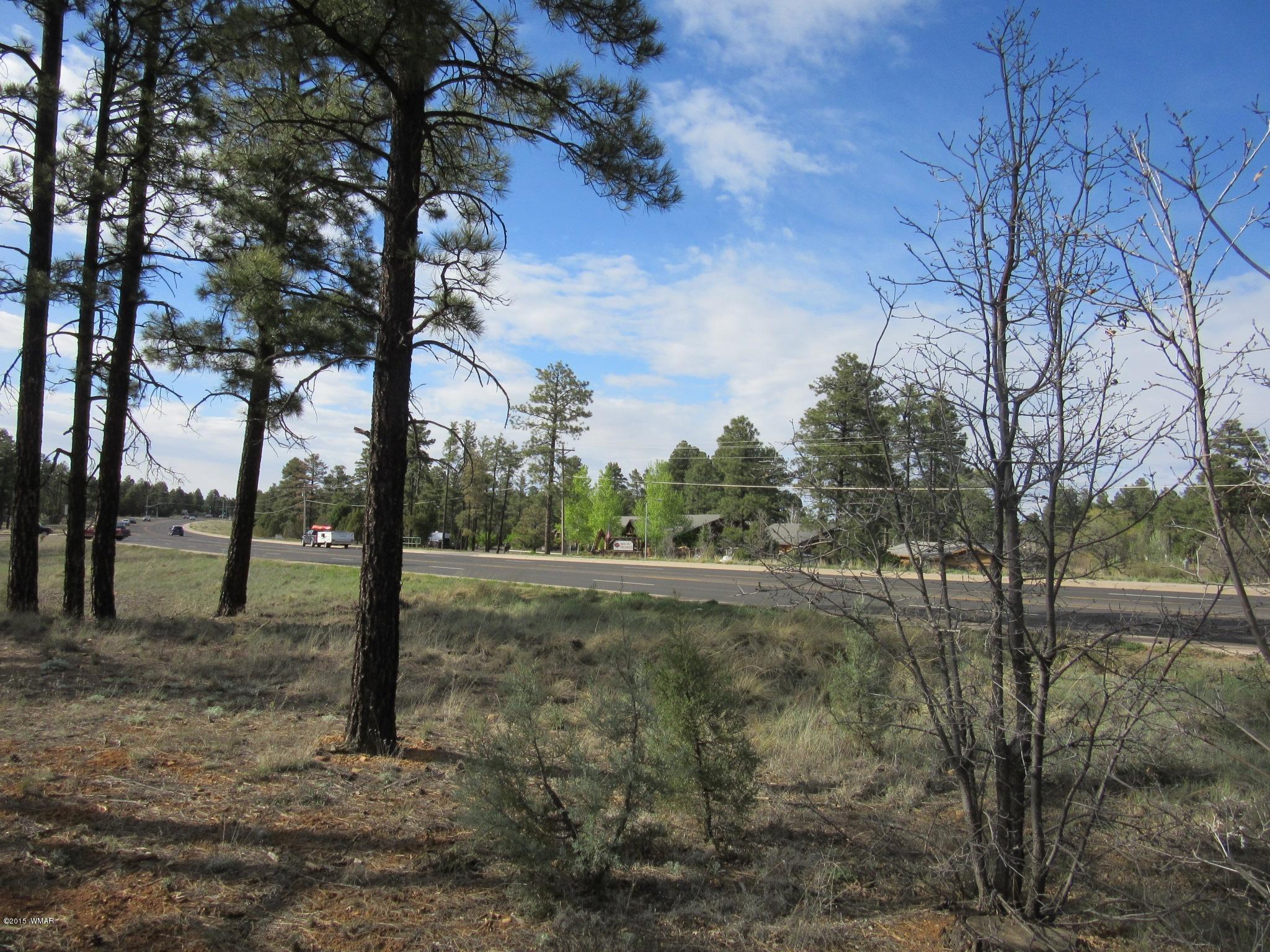 Parcel # North Clark Road Show Low, AZ 85901 - Photo 10 of 13
