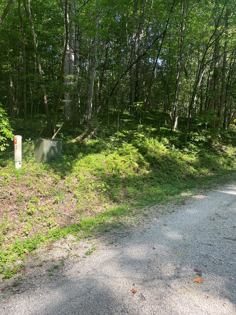 0 Hidden Lakes Road Topton, NC 28781 - Photo 5 of 7