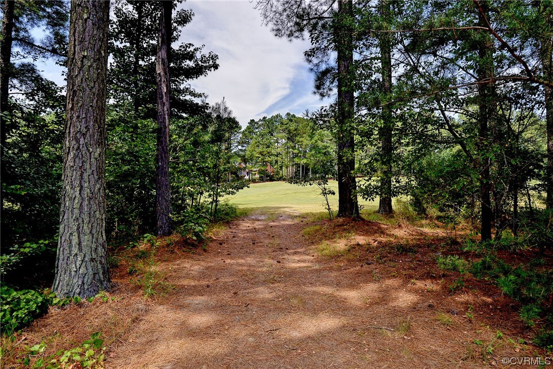 5531 Scotsview Drive Providence Forge, VA 23140 - Photo 40 of 42 a view of outdoor space with trees