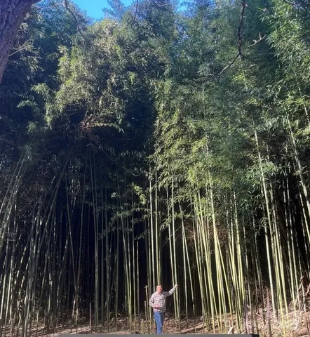a view of dinning table and chairs in the patio