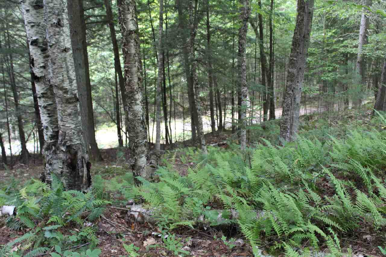 0 Langway Road, Unit LOT 13 Lyman, NH 03585 - Photo 22 of 37