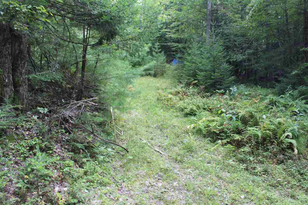 0 Langway Road, Unit LOT 13 Lyman, NH 03585 - Photo 8 of 37