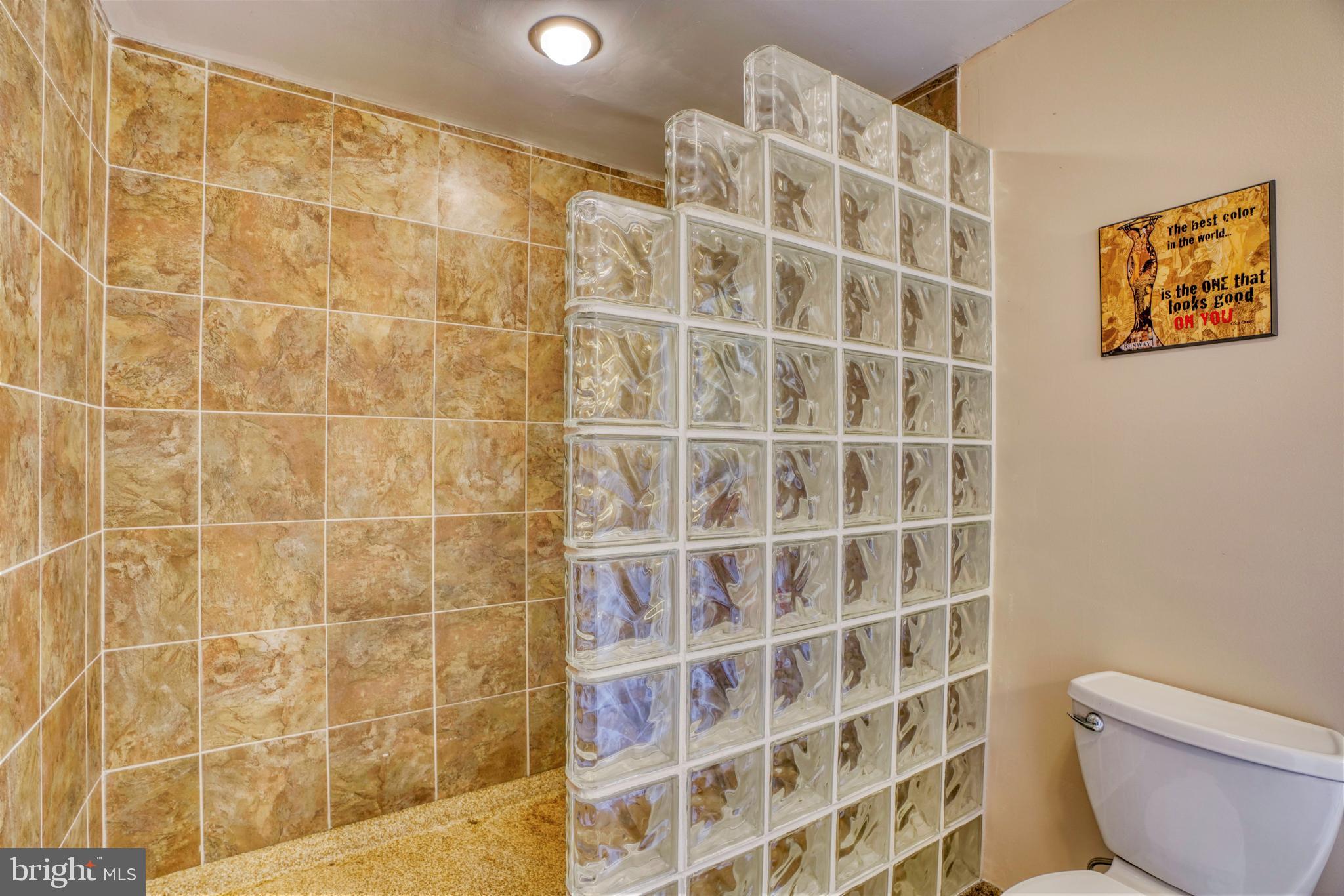 55 Greenmount Road Rising Sun, MD 21911 - Photo 39 of 140 Pool House Glass Block Walk In Shower