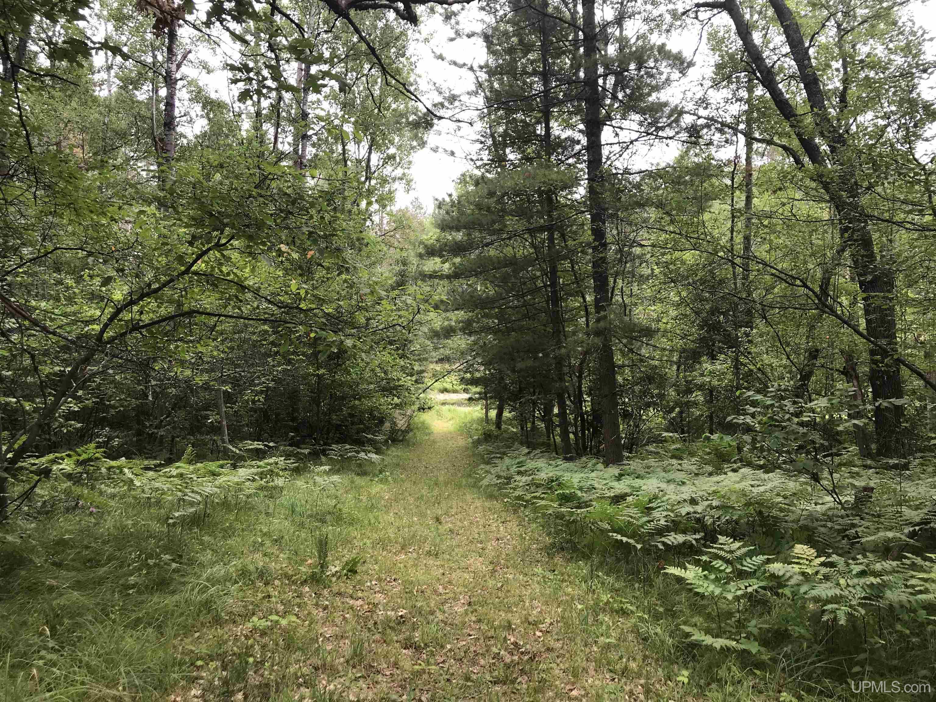1485 Scout Lake Road Fence, WI 54120 - Photo 21 of 23 Gallery Image 21
