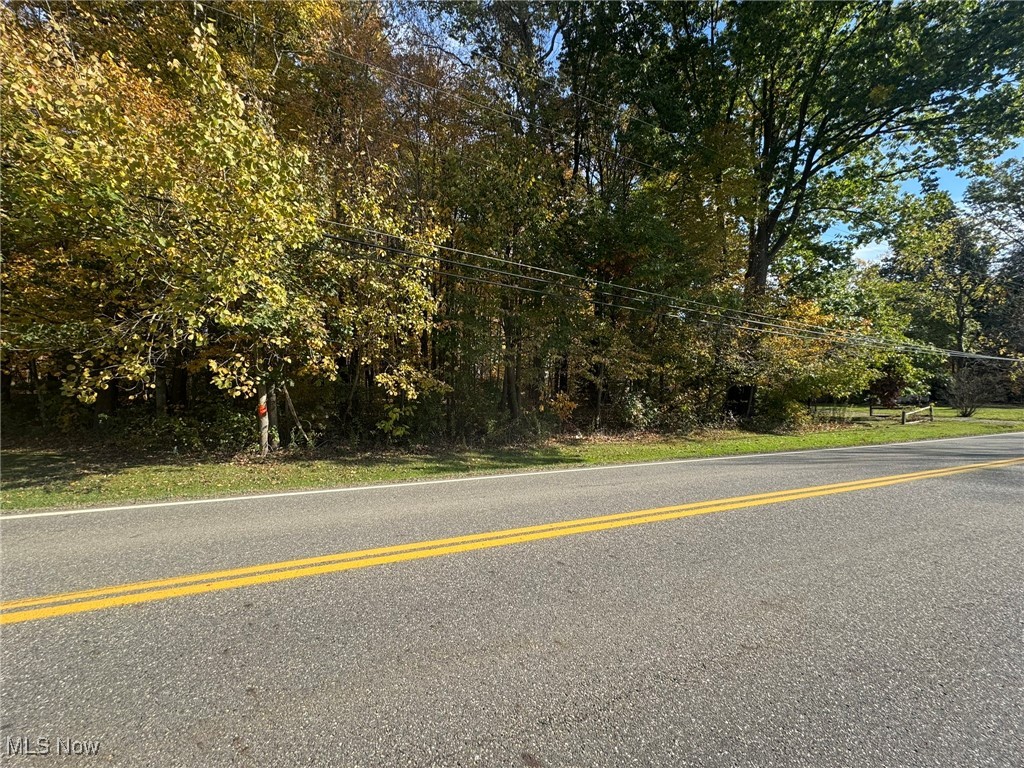 Infirmary Road Mantua, OH 44255 - Photo 3 of 13 View of asphalt street featuring view of scattered trees