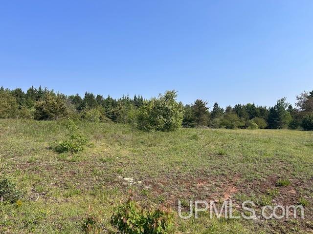 13408 West Jackola ( Road Atlantic Mine, MI 49905 - Photo 3 of 21
