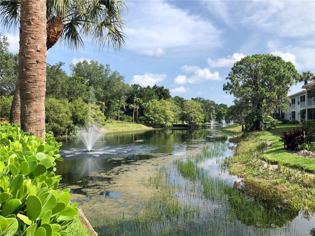6879 Redbay Park Road, Unit 203 Naples, FL 34109 - Photo 28 of 34 a view of lake