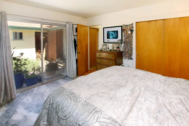 a view of a yard with plants and trees