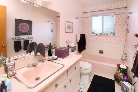 a view of a forest with a mountain