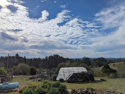 a backyard of a house with table and chairs potted plants