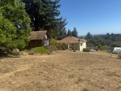 a view of a yard with plants and trees