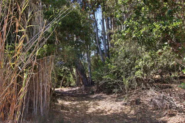 $1,475,000 | 46 Valley View Road, Watsonville, CA 95076