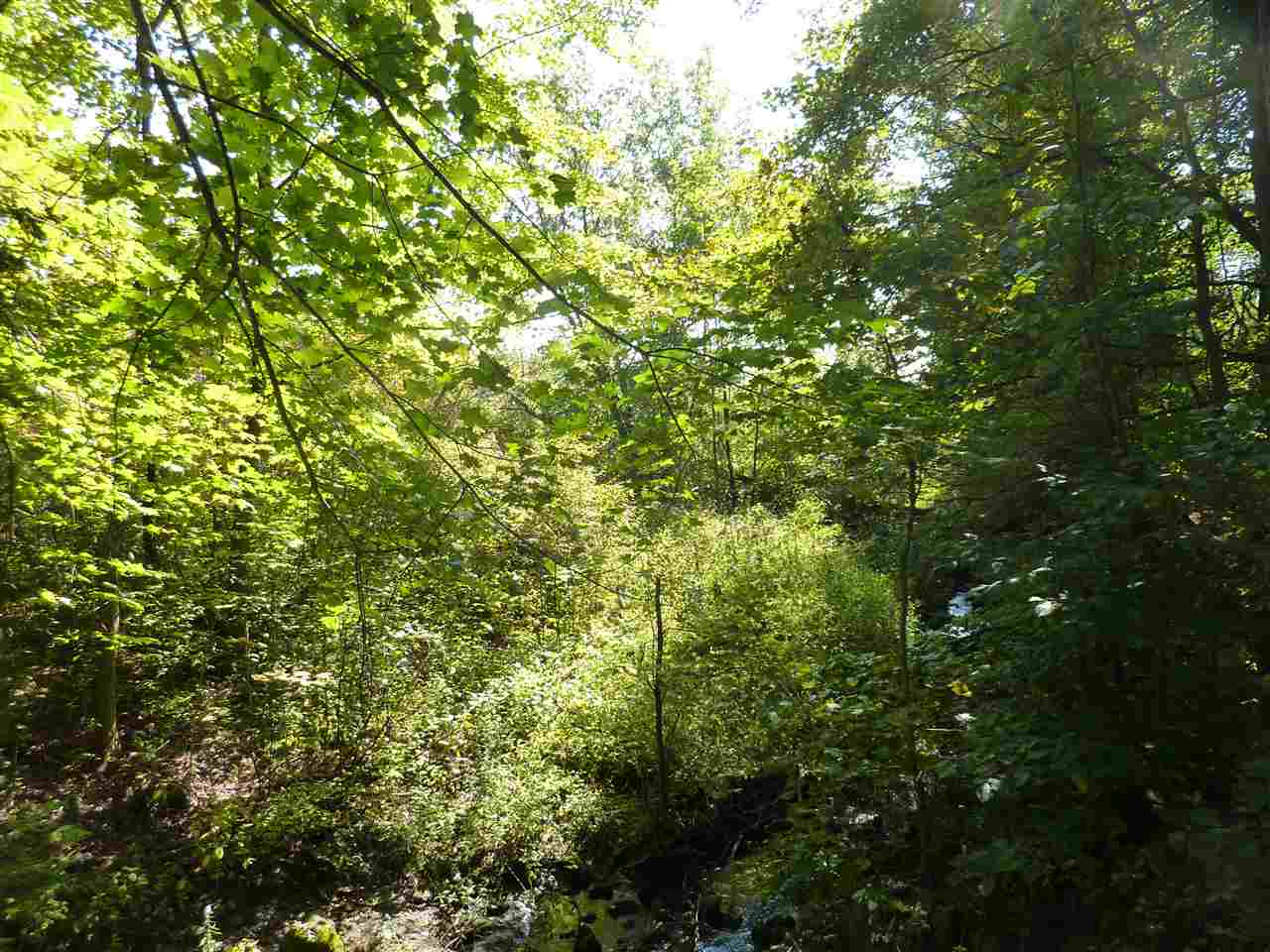 Lot 1 Pond Road Hinesburg, VT 05461 - Photo 2 of 6 Gallery Image 2