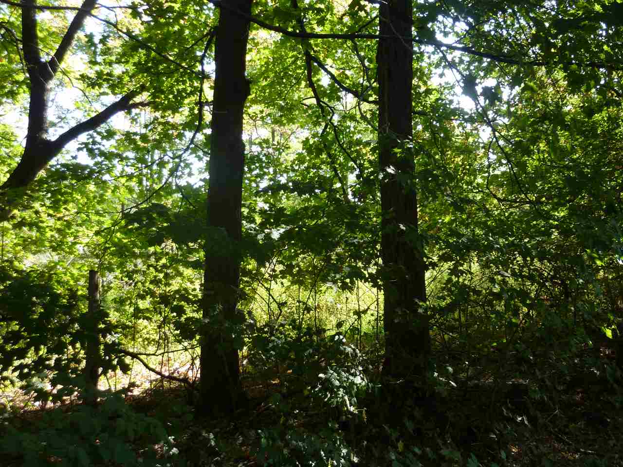 Lot 1 Pond Road Hinesburg, VT 05461 - Photo 3 of 6 Gallery Image 3