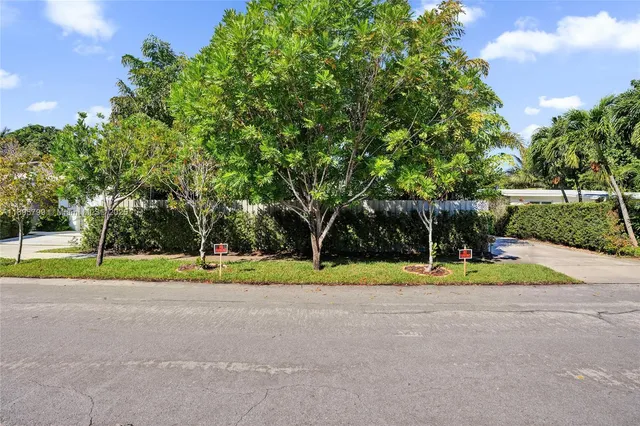 a view of outdoor space with garden and trees