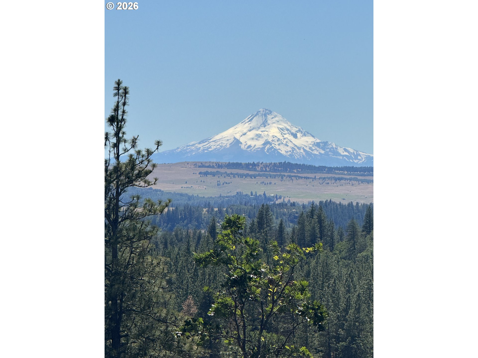 Zelinski Road Goldendale, WA 98620 - Photo 1 of 15