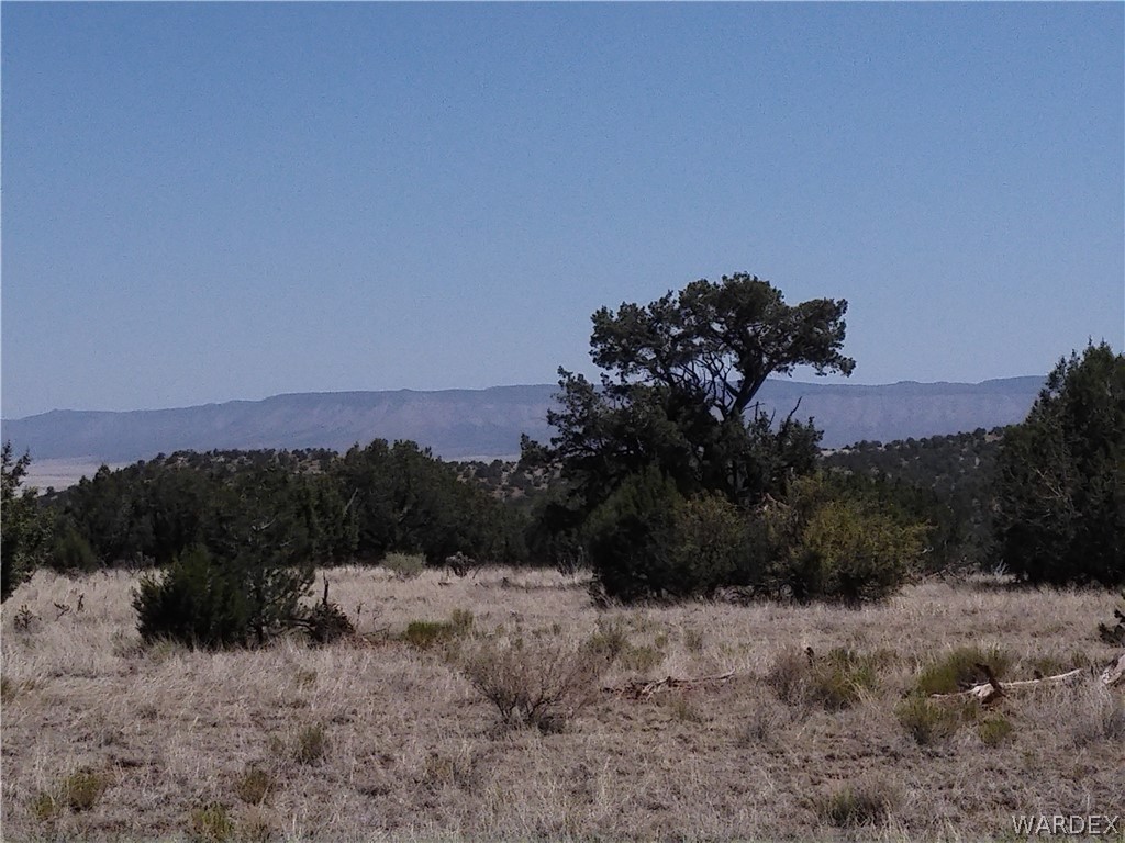 301-31-148 Antelope Run Road Seligman, AZ 86337 - Photo 3 of 8