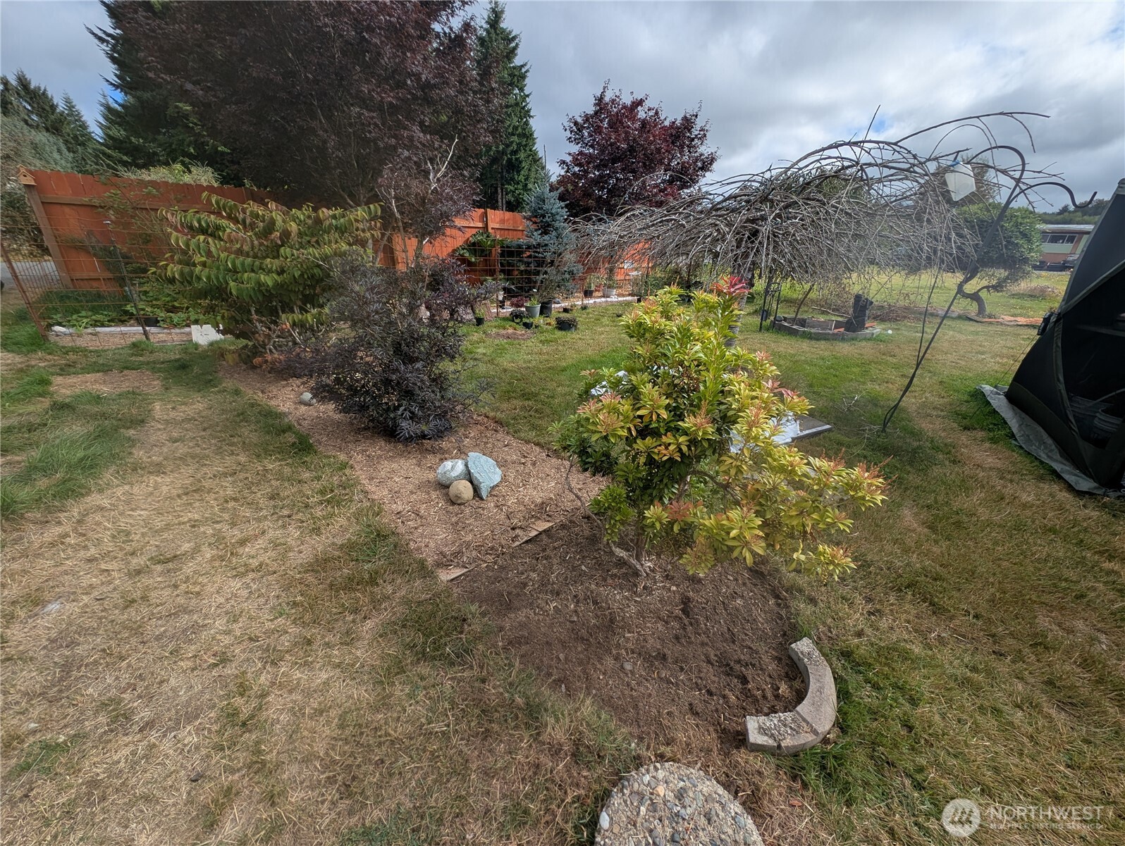 1186 Wiley Street Forks, WA 98331 - Photo 4 of 18 Gallery Image 4