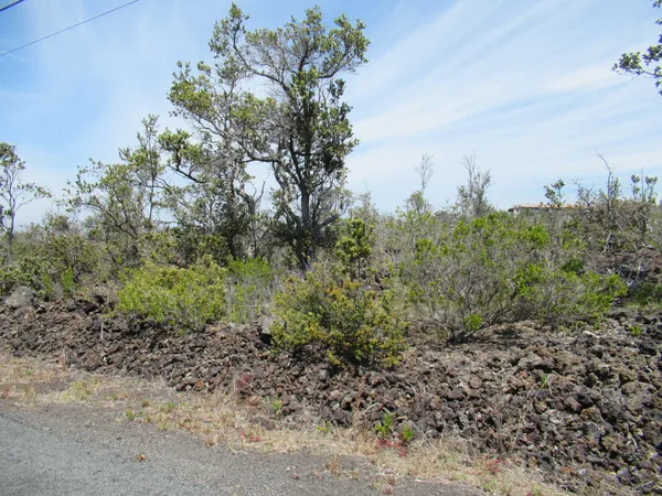 $23,000 | 28 Plumeria Lane, Ocean View, HI 96704