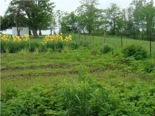 2622 Sulphur Road Sulphur, KY 40070 - Photo 10 of 11 Additional Photo