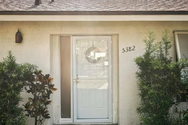 a glass door with a potted plant in front of it