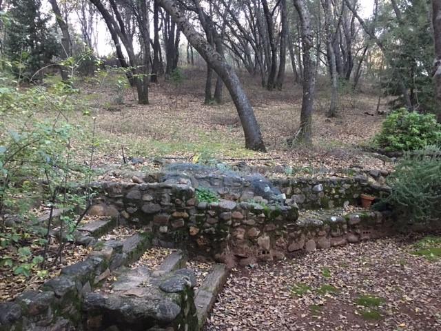 9946 Harley Leighton Road Redding, CA 96003 - Photo 3 of 6 Yard