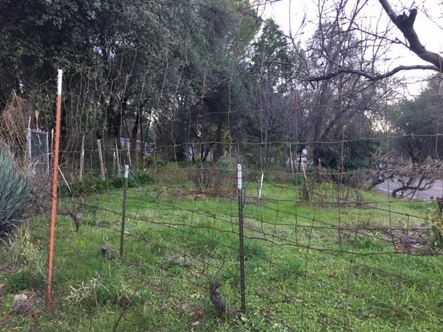 9946 Harley Leighton Road Redding, CA 96003 - Photo 4 of 6 Garden