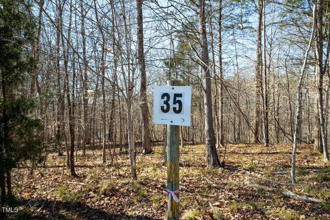 35 Summer Oak Drive Roxboro, NC 27574 - Photo 6 of 8 DSC09358