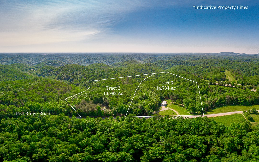 2 Pea Ridge Road Liberty, TN 37095 - Photo 2 of 4 a view of a city with lush green forest