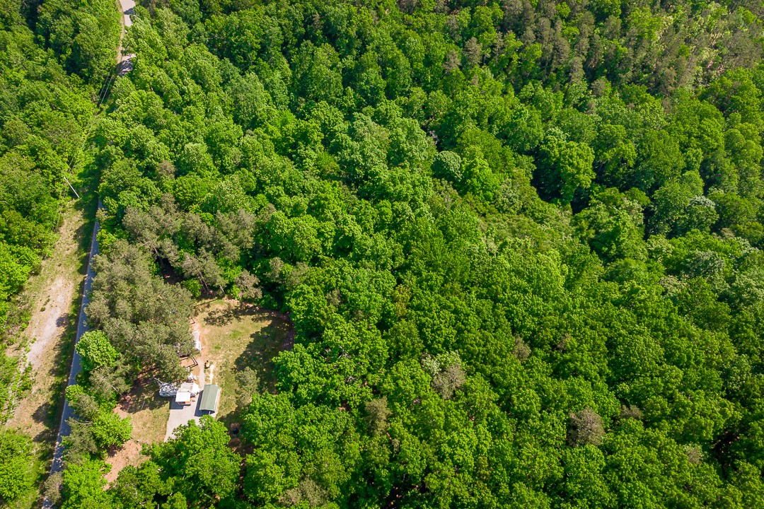 2 Pea Ridge Road Liberty, TN 37095 - Photo 4 of 4 a view of a lush green forest