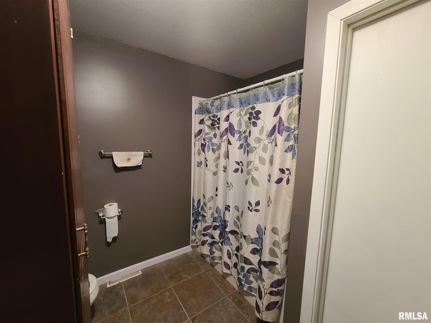 1564 East 300 N Road Cowden, IL 62422 - Photo 37 of 50 a bathroom with a shower and a curtain
