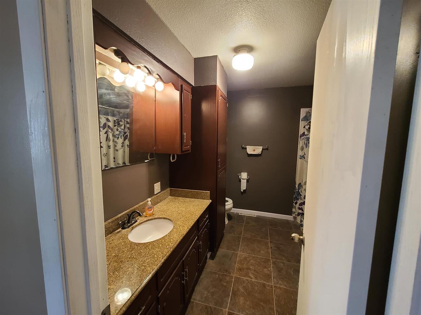 1564 East 300 N Road Cowden, IL 62422 - Photo 38 of 50 a bathroom with a granite countertop sink and a mirror