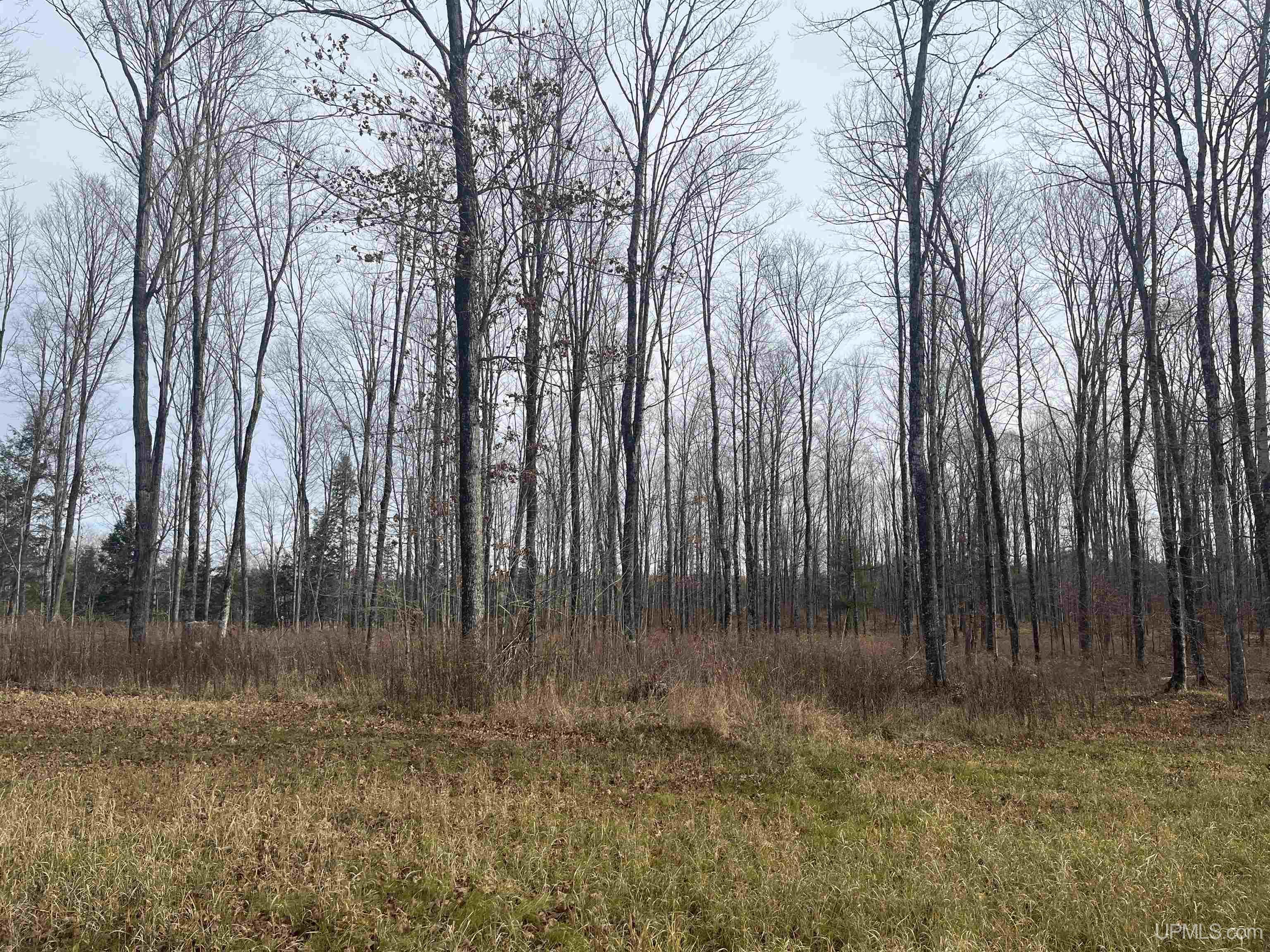 120-acres Off County Sk Road Cornell, MI 49818 - Photo 4 of 40