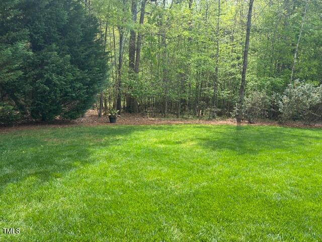 4213 Summer Brook Drive Apex, NC 27539 - Photo 68 of 78 .