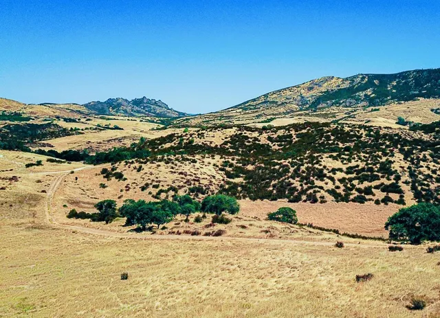 a view of a snow on the beach