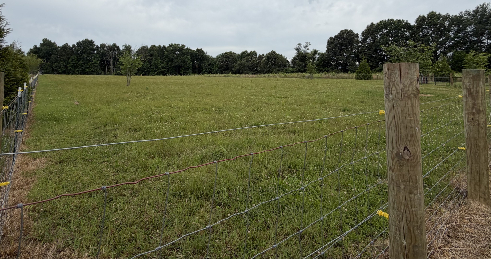 1469 Ledford Mill Road Tullahoma, TN 37388 - Photo 5 of 5