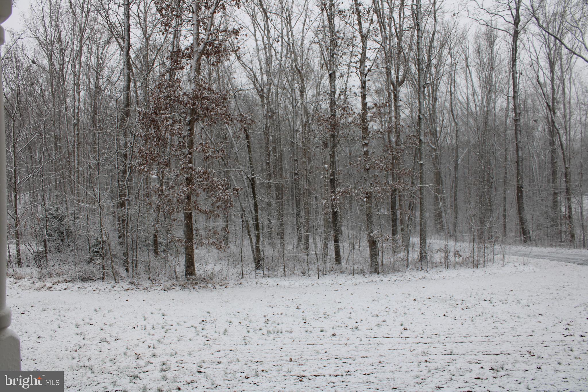30271 Stonewall Drive Locust Grove, VA 22508 - Photo 25 of 27 a view of a dry yard with trees