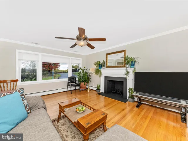 a living room with furniture pool table and a fireplace