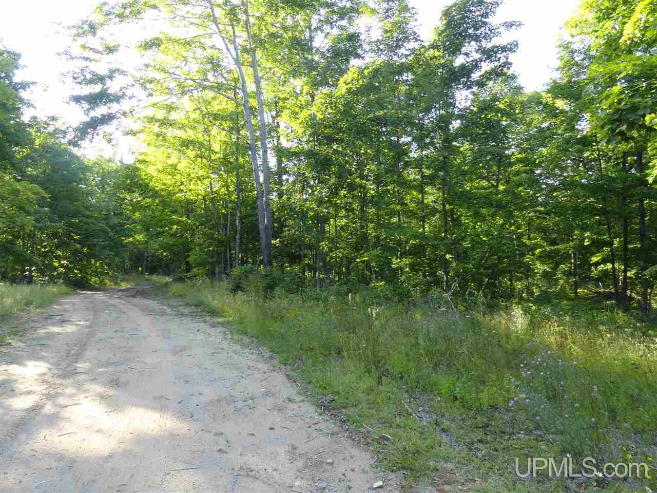 80 SOUTH Off Co Road Ishpeming, MI 49849 - Photo 16 of 20