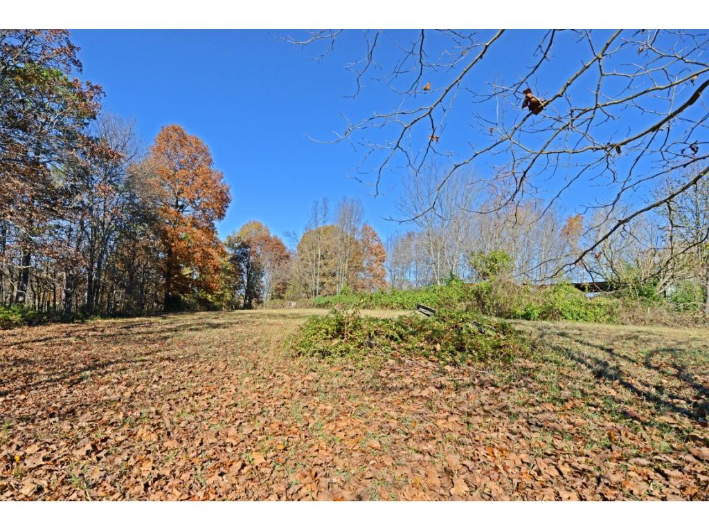 480 McMillan Road Midway, TN 37809 - Photo 11 of 35 Photo 11