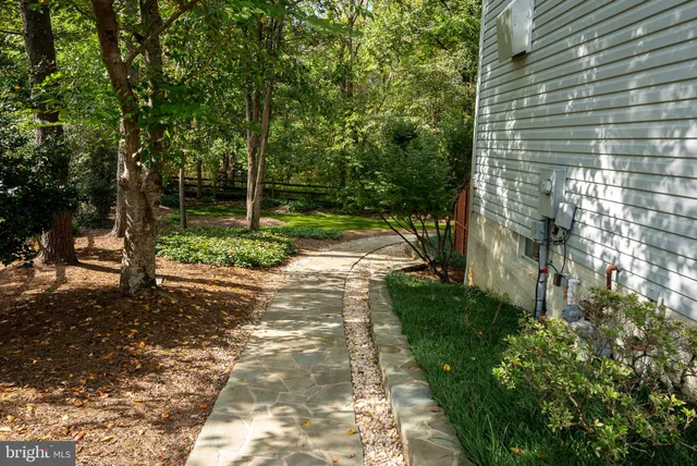 a view of a bunch of trees and bushes
