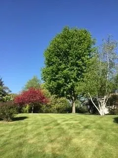 $439,000 | 2146 84th Avenue, Osceola, WI 54020