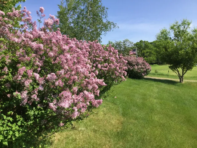 $439,000 | 2146 84th Avenue, Osceola, WI 54020