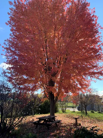 $439,000 | 2146 84th Avenue, Osceola, WI 54020