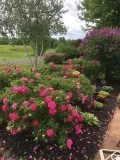 $439,000 | 2146 84th Avenue, Osceola, WI 54020