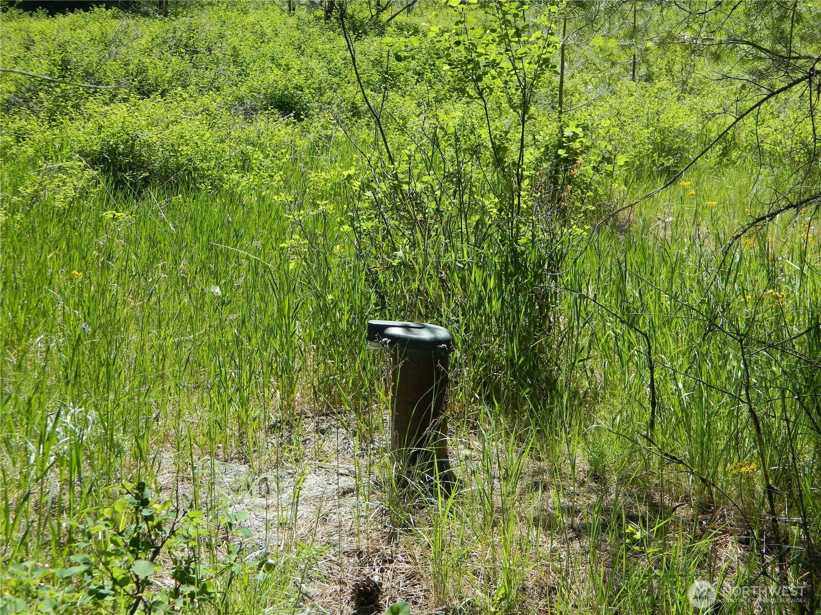 111 Tbd Murphy Ranch Road Tonasket, WA 98855 - Photo 9 of 12 a view of a garden